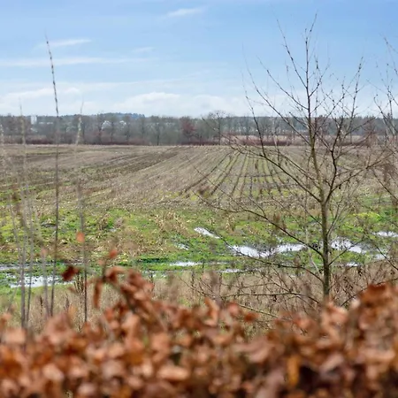 Townhouse With Nature As Neighbor Brande